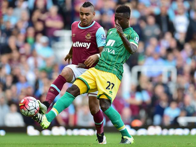 性所彰显 性所彰显